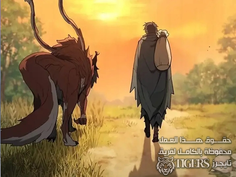الفصل 13
