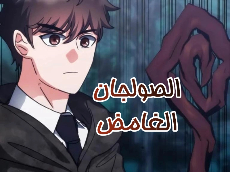 الفصل 209