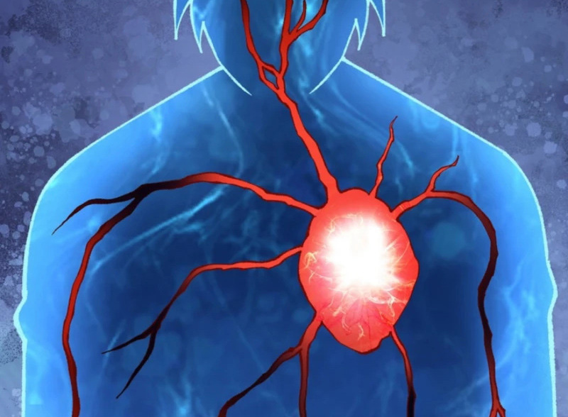 الفصل 8