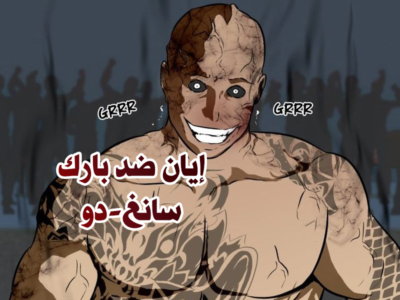 الفصل 29