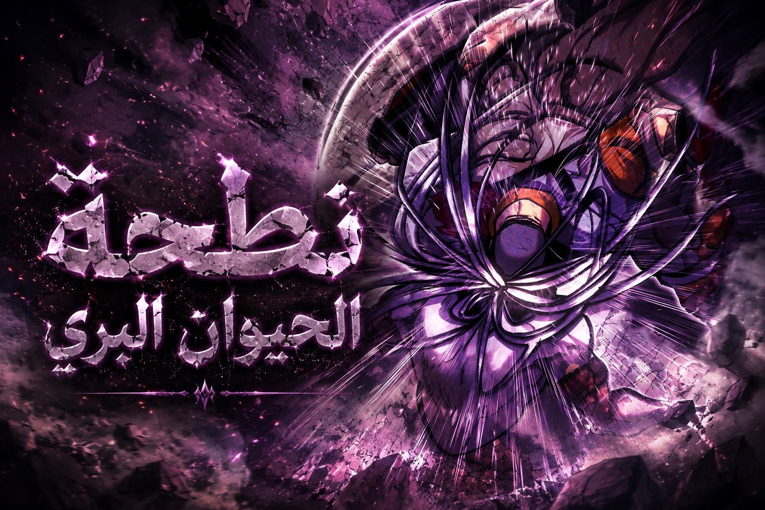 الفصل 31