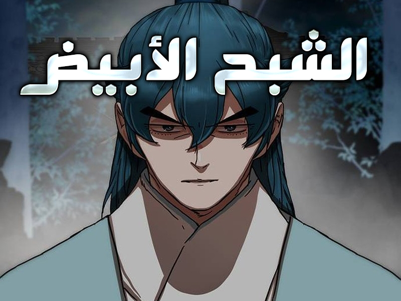 الفصل 31