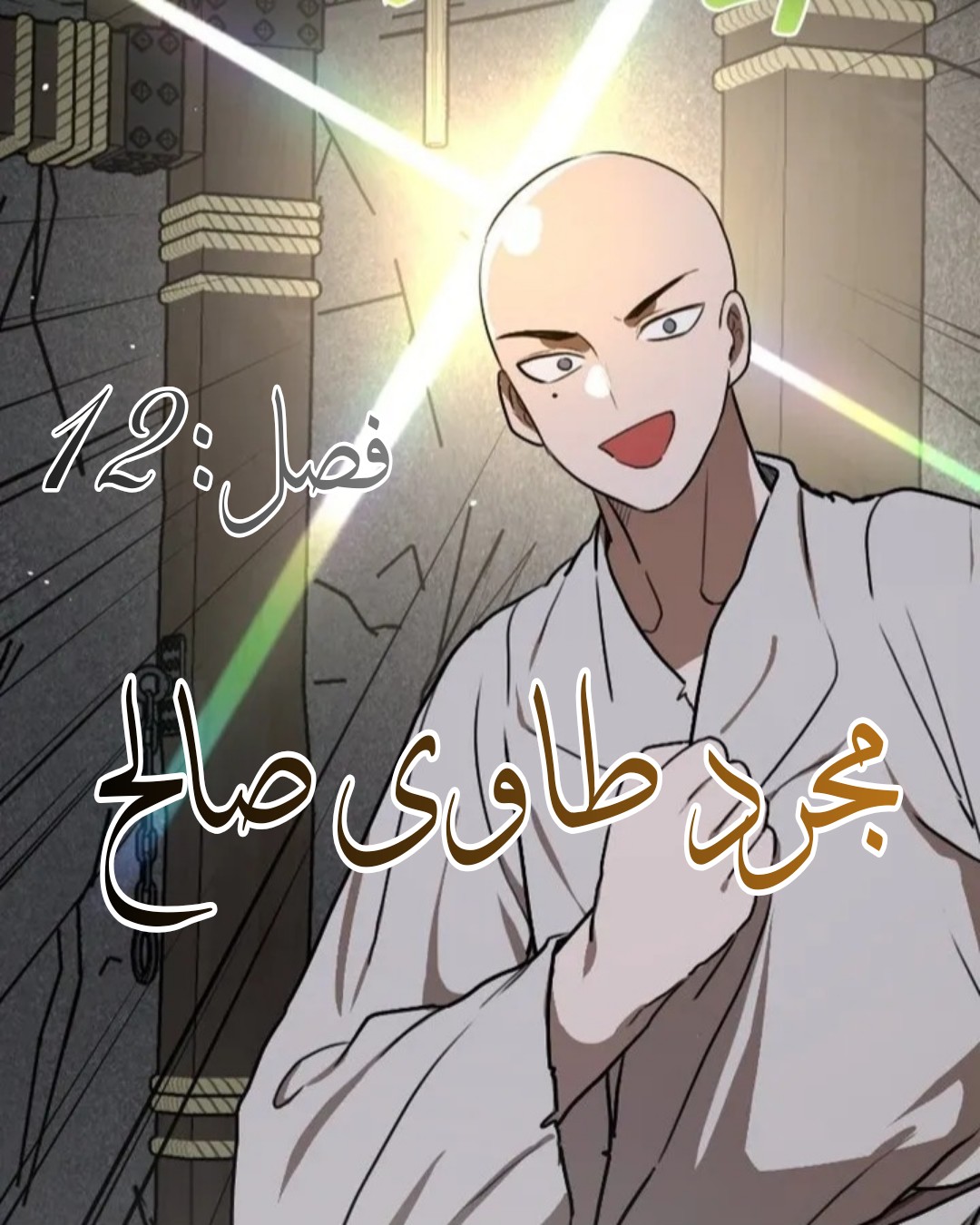 الفصل 12