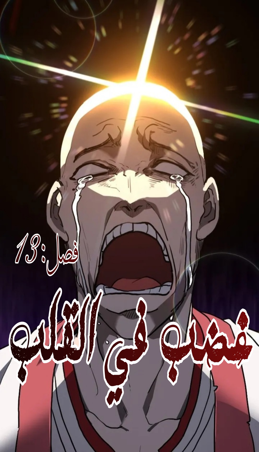 الفصل 13