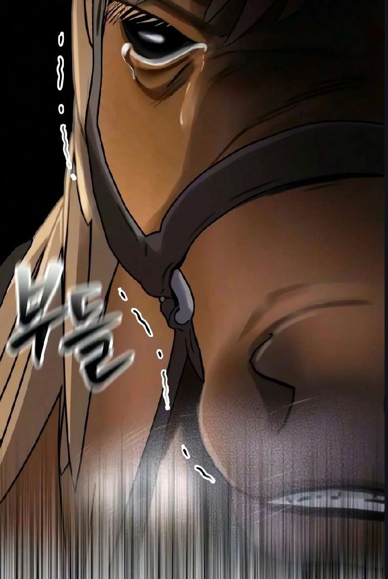 الفصل 20