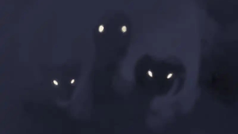 الفصل 38