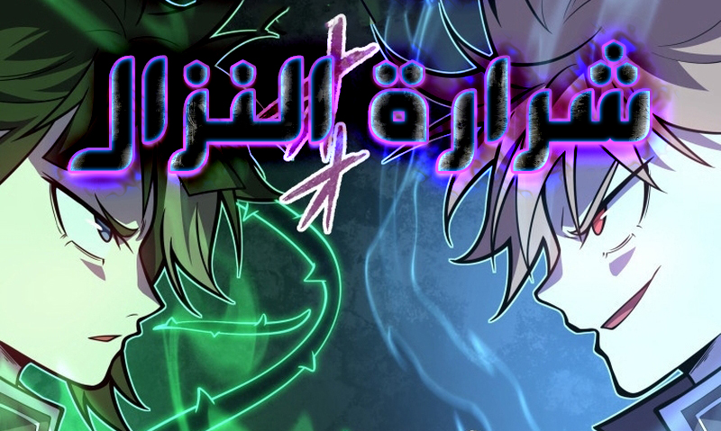 الفصل 11