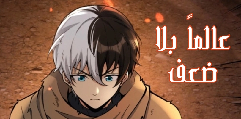 الفصل 12